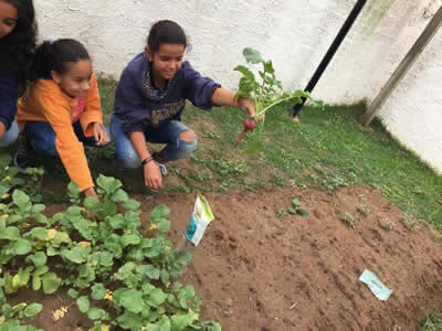 Aula de Horta em Pindamonhangaba